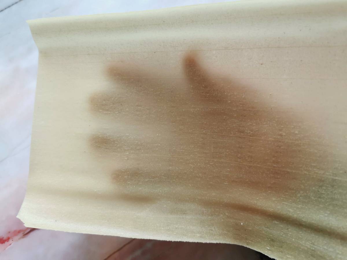 Someone holding a thin sheet of fresh lasagne with their hand visible behind.