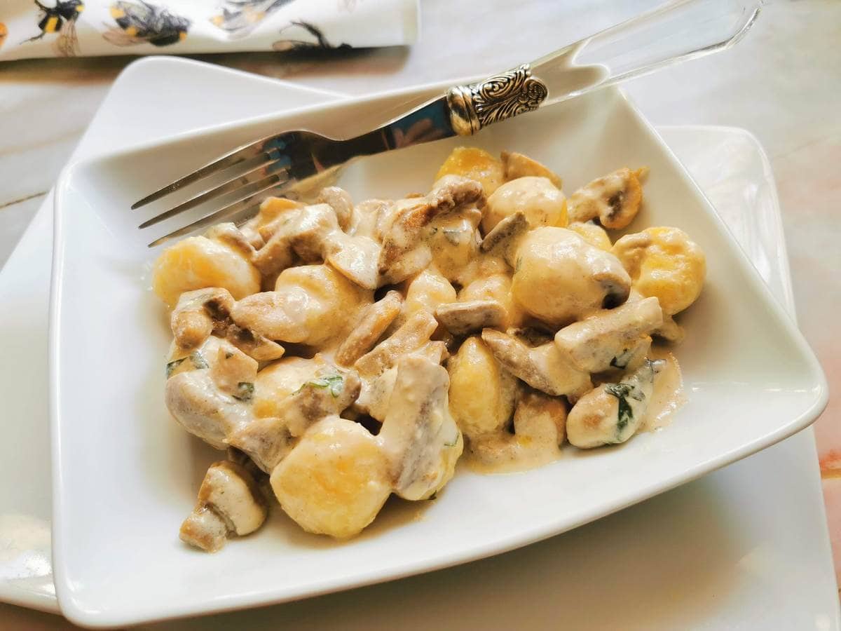 Creamy mushroom gnocchi with stracchino (Crescenza).