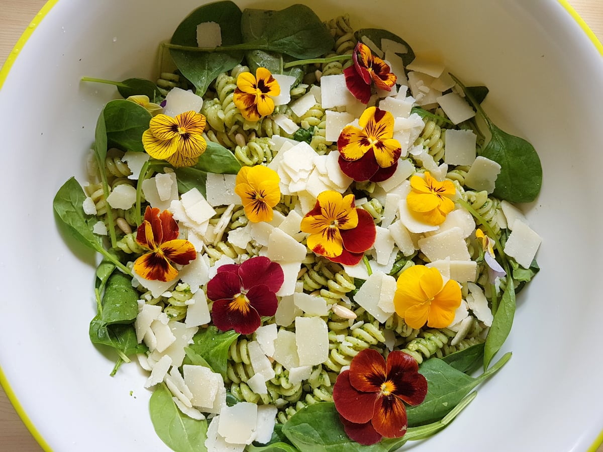 Green pasta salad with edible flowers.