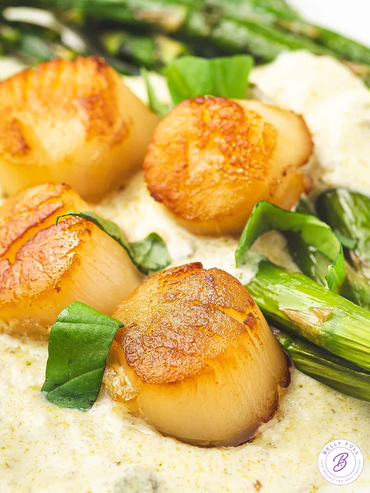 Scallops with Pesto Cream - BellyFull