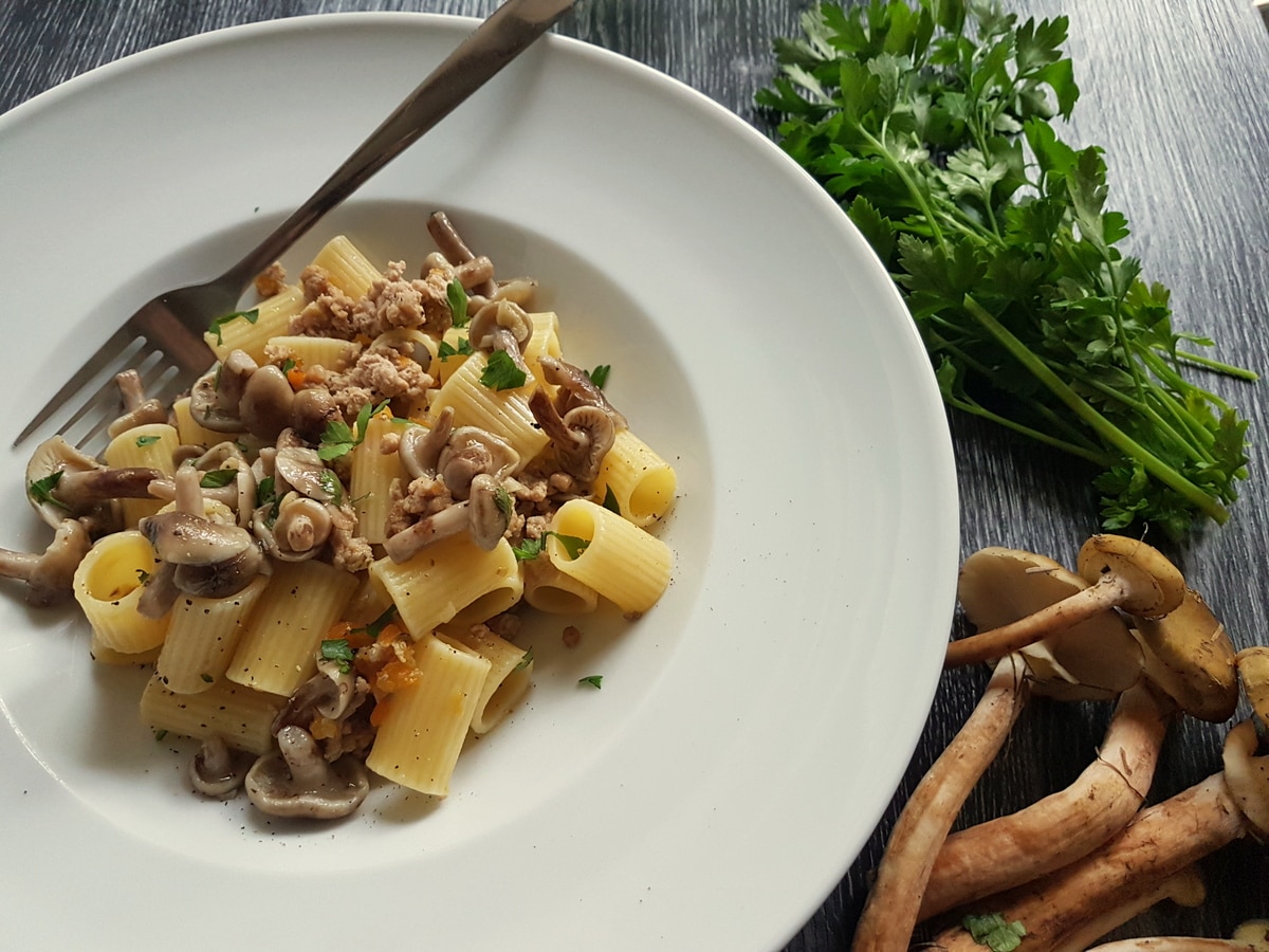 White ragu with mushrooms.